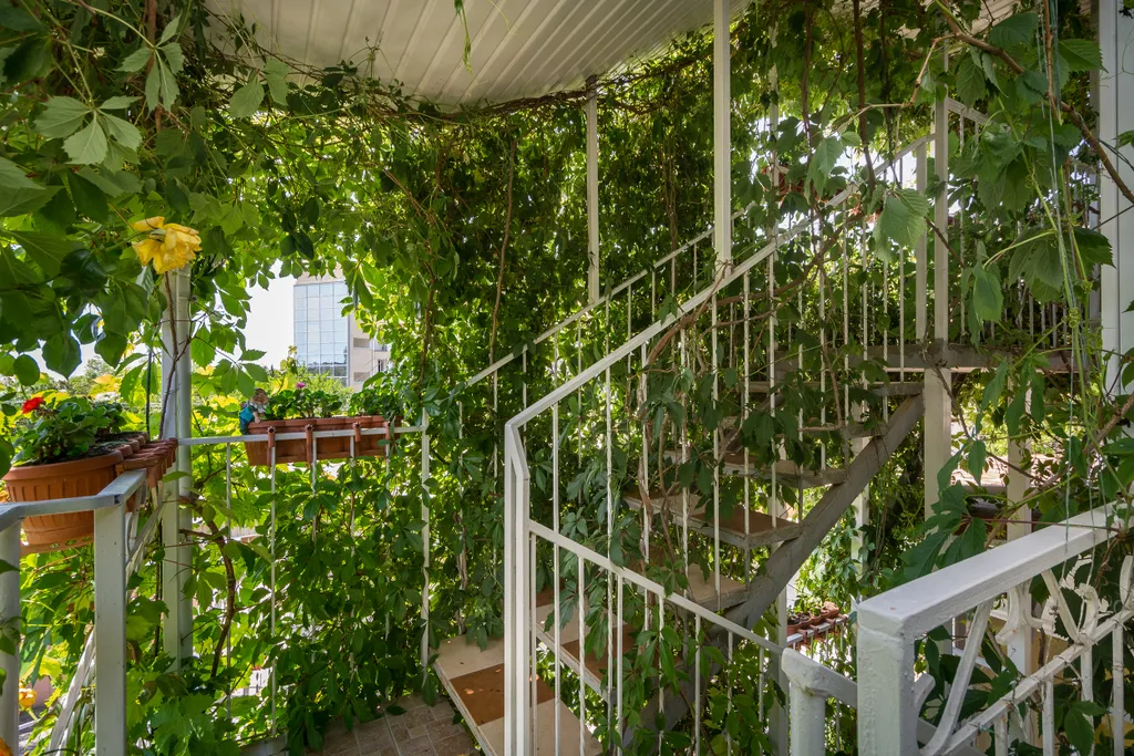 Уютные номера в доме