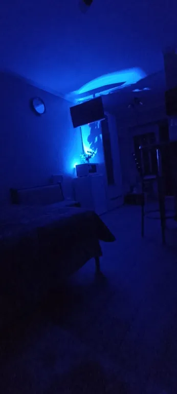 Уютная студия в центре города