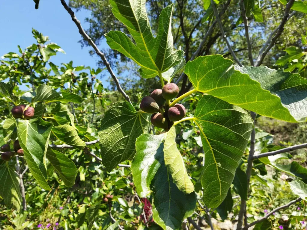 Коттедж Домик в Красном Раю — Изобильное