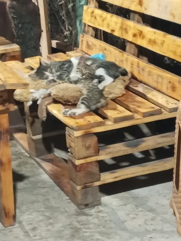 В центре Еревана с собственном двориком