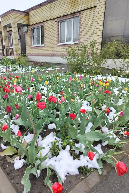 2-комнатный домик Оберег поближе к термальным источникам