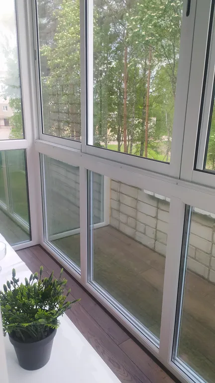 Апартаменты с видом на реку и лес (закаты, рассветы, пение птиц)