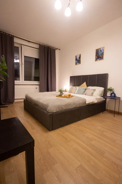 1-комнатная квартира у Меги