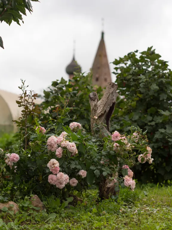 Дом для Души