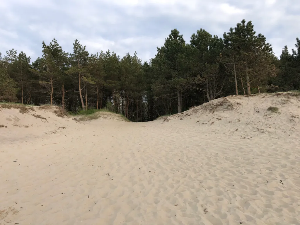 Коттедж Уютный дом у моря — Зеленоградск