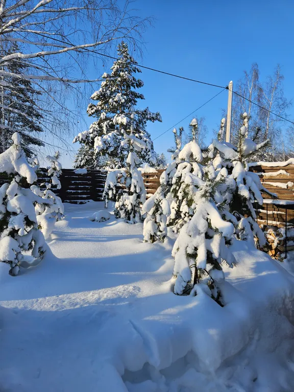 Уютный дом с панорамными окнами