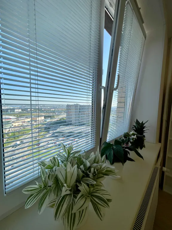 Светлая студия