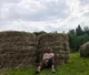 Ольга