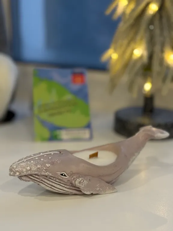 Уютная квартира в тихом центре