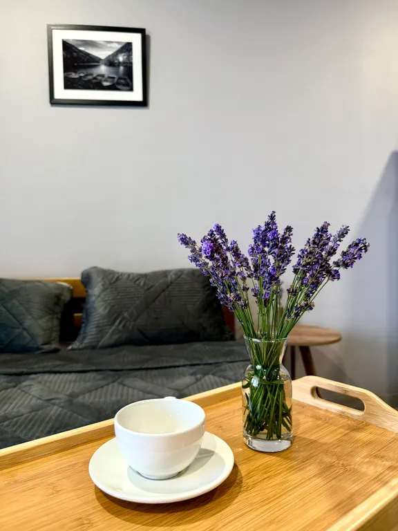 Стильная видовая студия в центре города