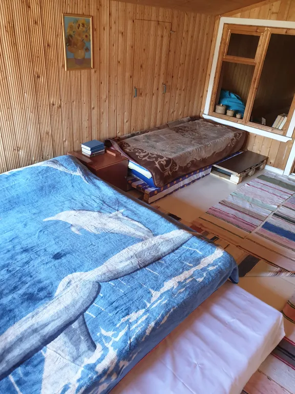 Фазенда у тещи