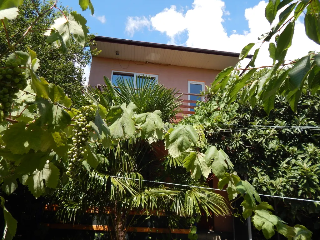 Уютный номер с видом на море