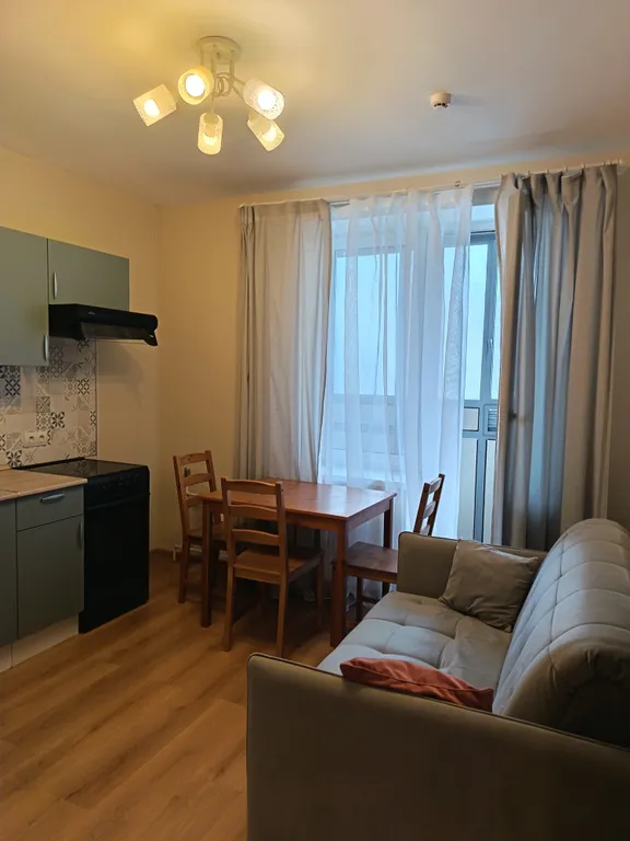 Квартира Однокомнатная квартира у НИИ Петрова — Песочный