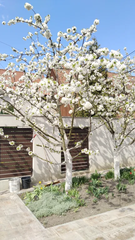 Квартира Квартира Балтика апарт — Зеленоградск