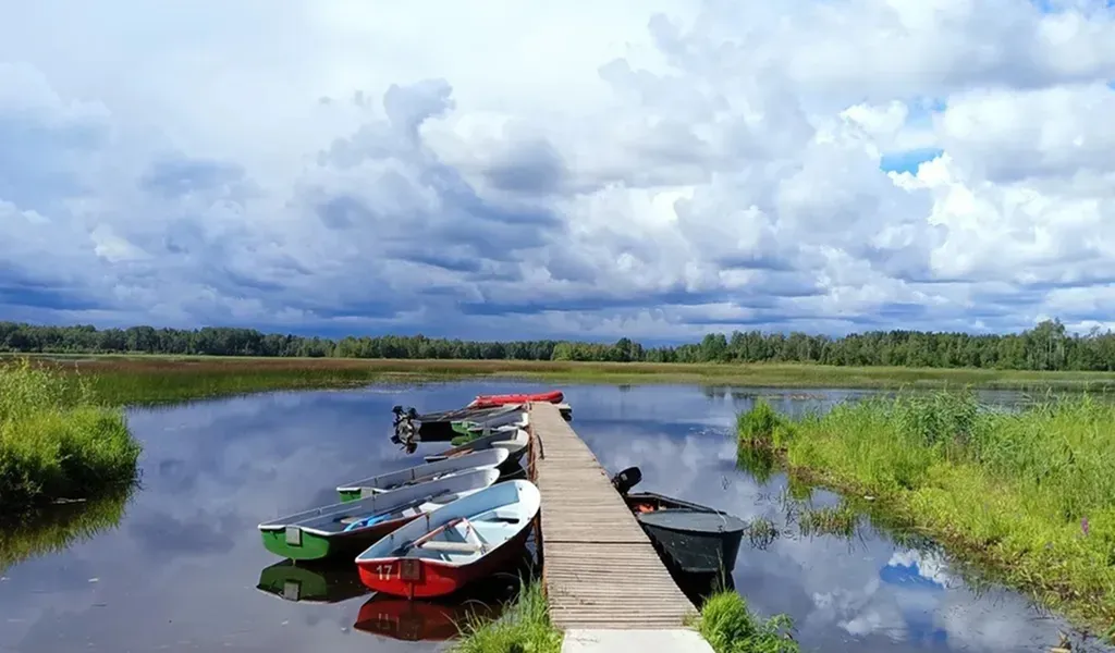 Коттедж Коттедж с камином на хуторе Янтула — Беличье