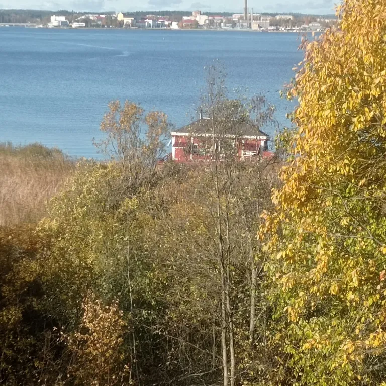 Современный дом на берегу Ладоги