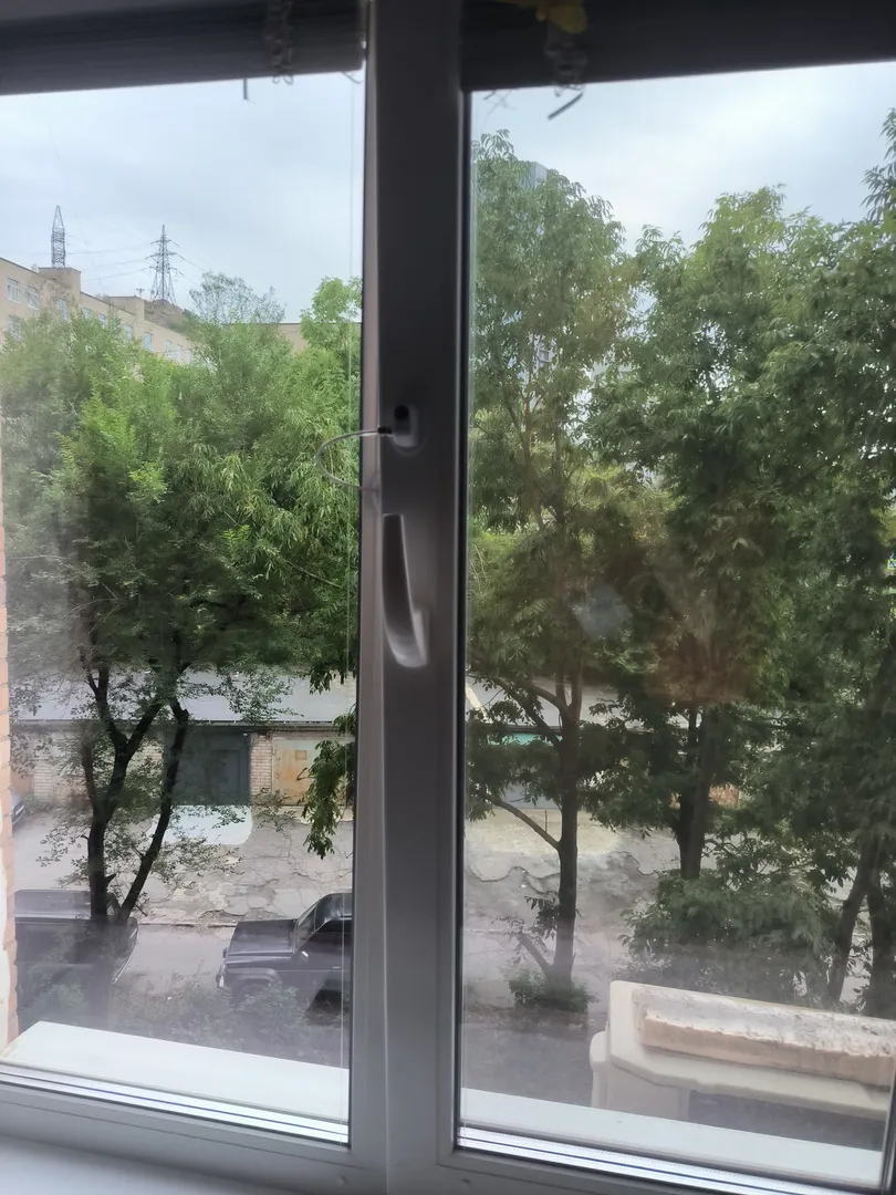 вид из окна (зал)