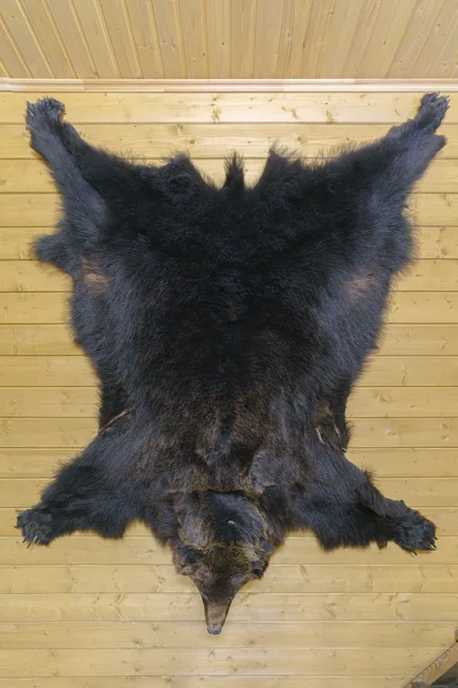 Загородный дом для отдыха