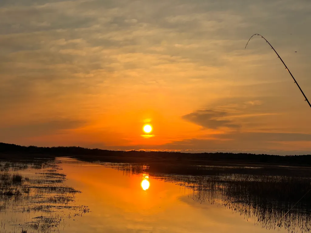 Агроусадьба Пралеска