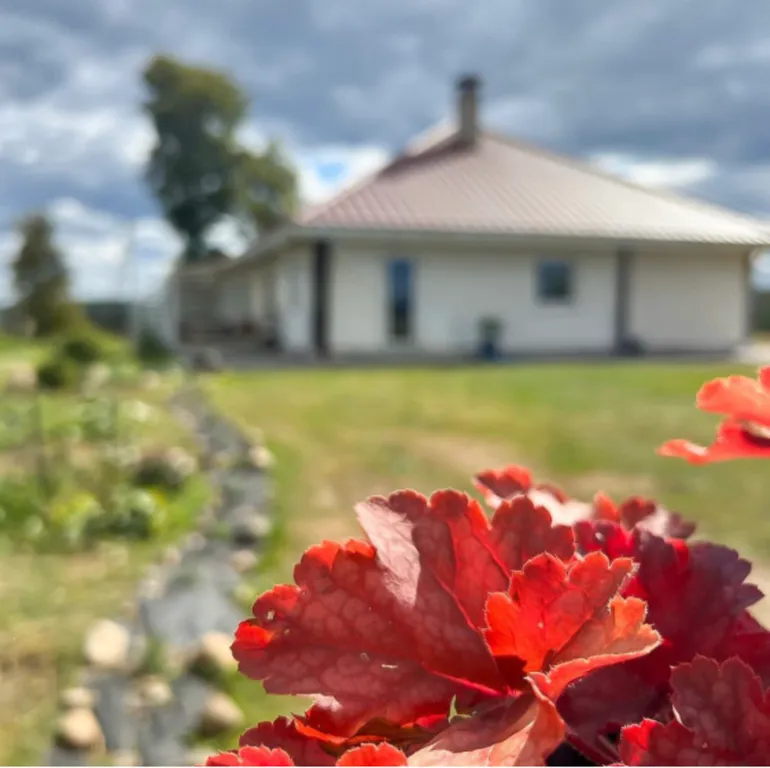 Вилла Art -house