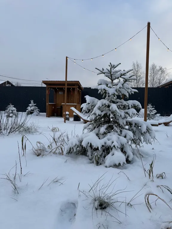 Дом с сауной