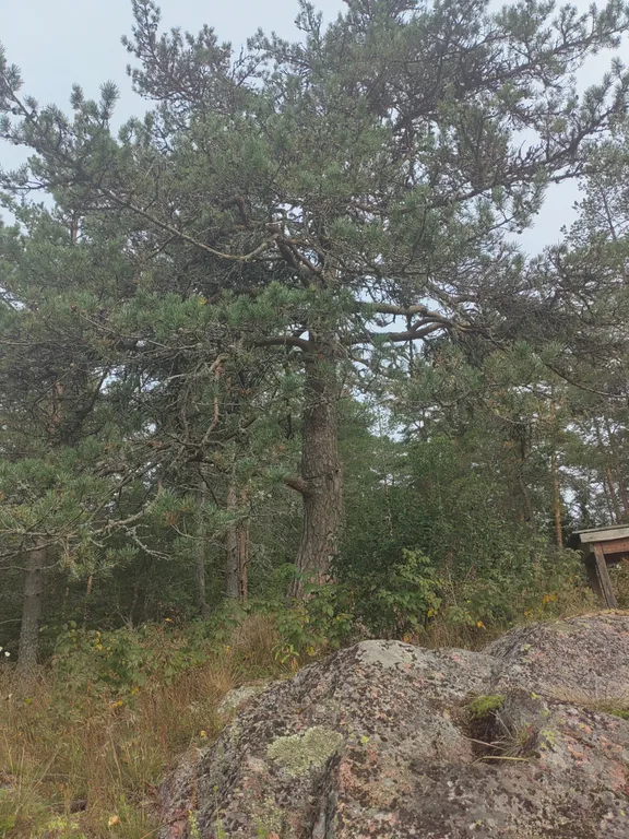 Рыбацкий хуторок