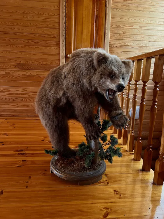 2-комнатный Дом