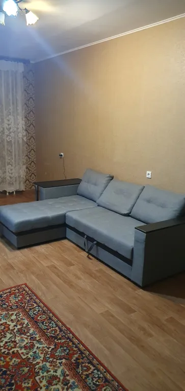 Однокомнатная квартира в центре города