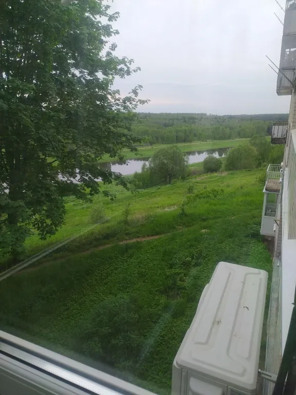 Апартаменты с видом на реку и лес (закаты, рассветы, пение птиц)