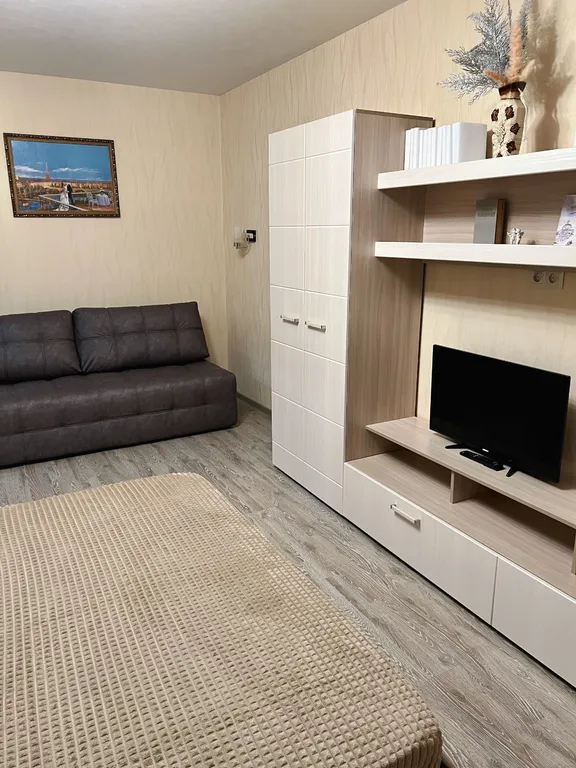 Уютная квартира у Глобуса