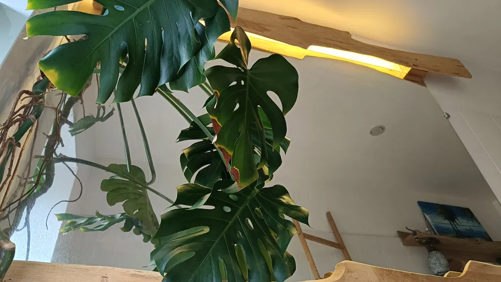 ZEN Lodge & Retreat - Сафари-вилла с видом на Аибгу и родниковой водой