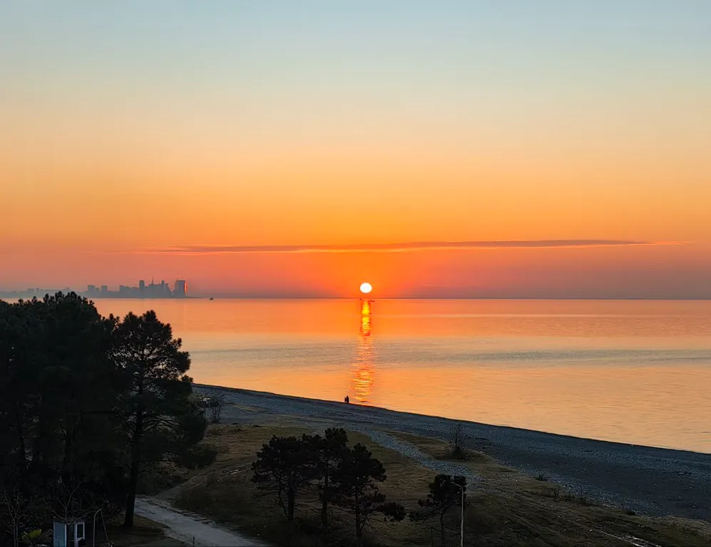 Boho apartment Tropical garden