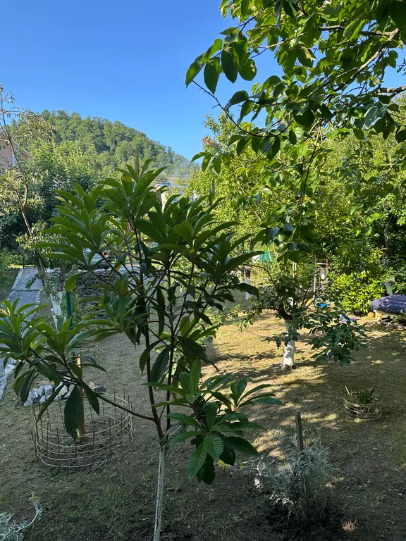 Коттедж Дачные пенаты — Нижнее Учдере