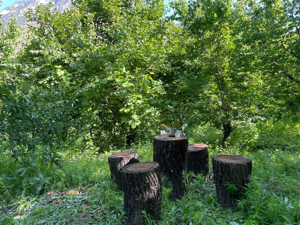 Коттедж Дом в саду Дорголи — Чирката