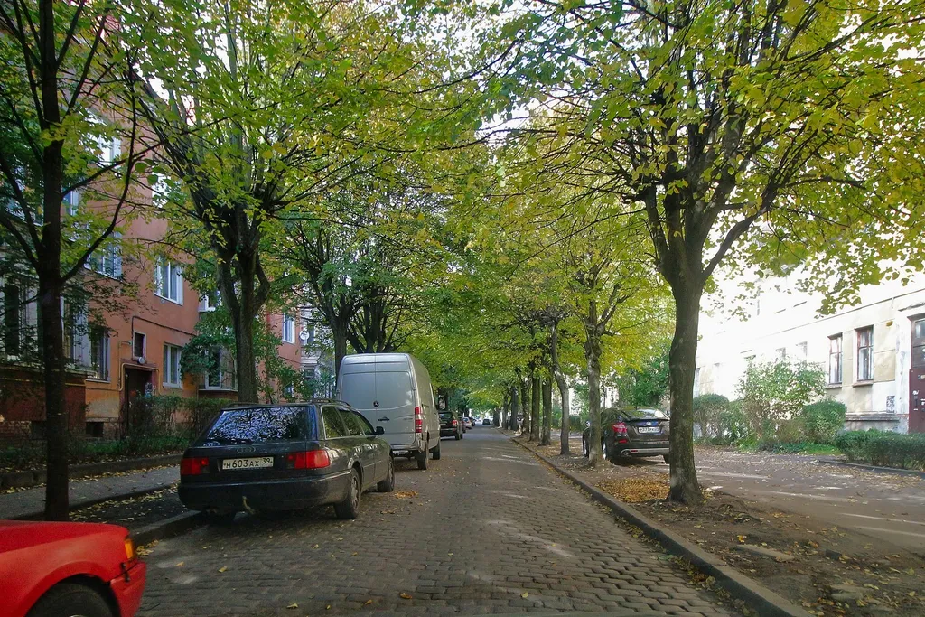 Квартира Атмосферная квартира в лучшем районе Амалинау — Калининград