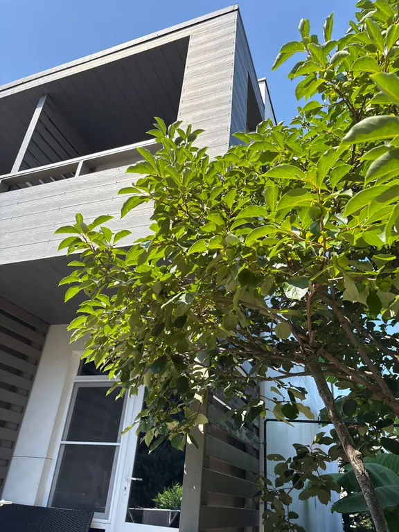 Квартира Делюкс, комната апартамент с балконом/террасой вид на горы, территорию — Сириус