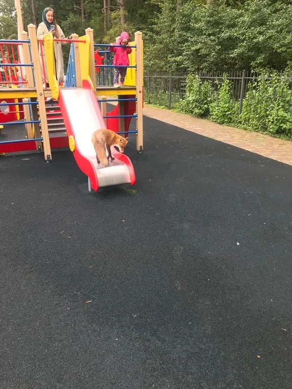 Lake-City apartments