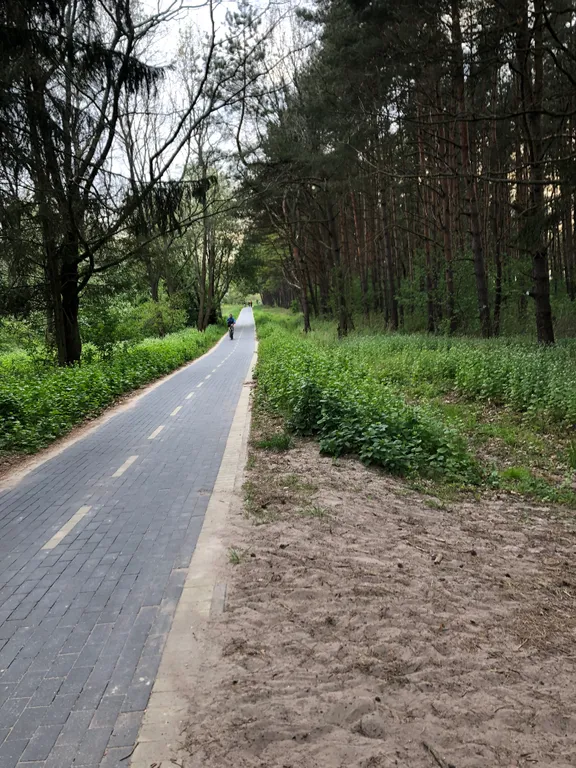 Коттедж Уютный дом у моря — Зеленоградск