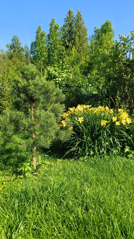 Коттедж Уютный дом рядом с Финским заливом — Солнечное