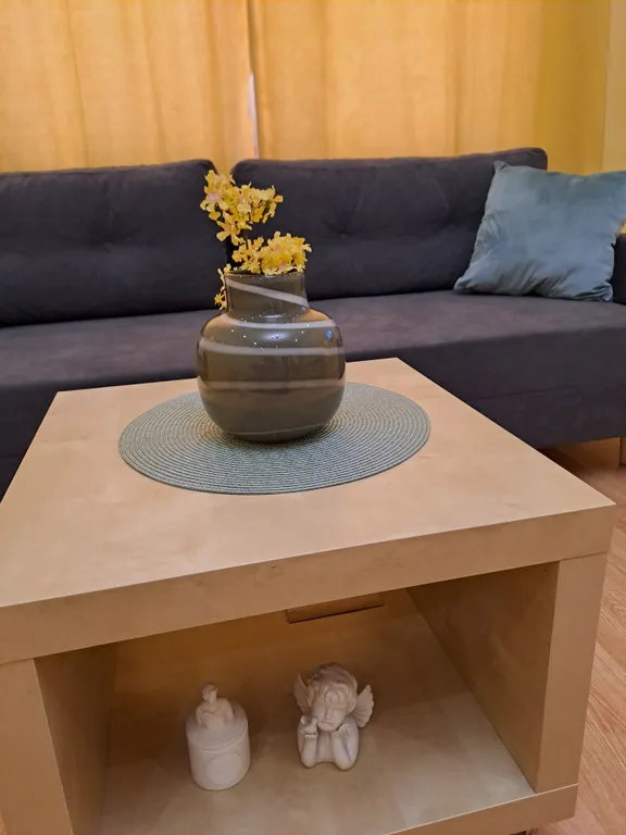 Квартира 1-комнатная Квартира — Светлогорск