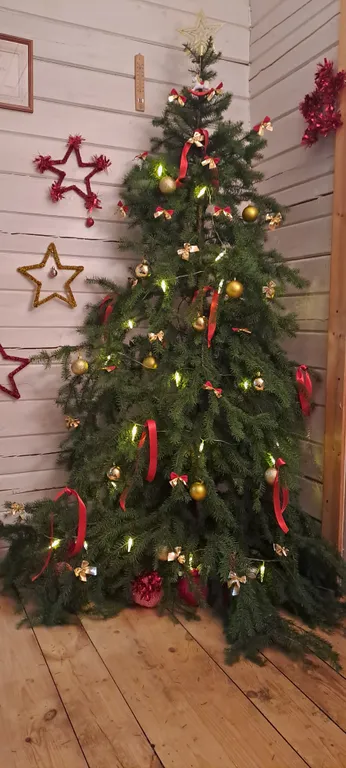 Дом с баней для большой компании