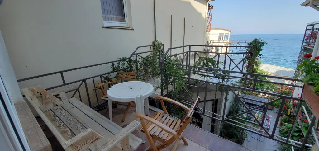 Видовой номер