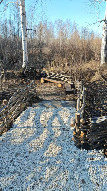 Дворик леса