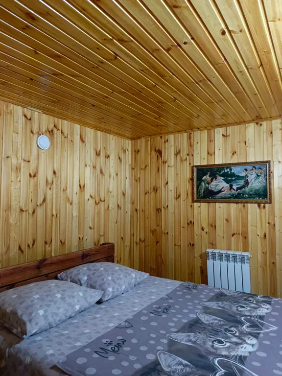 Дом коттедж в черте города