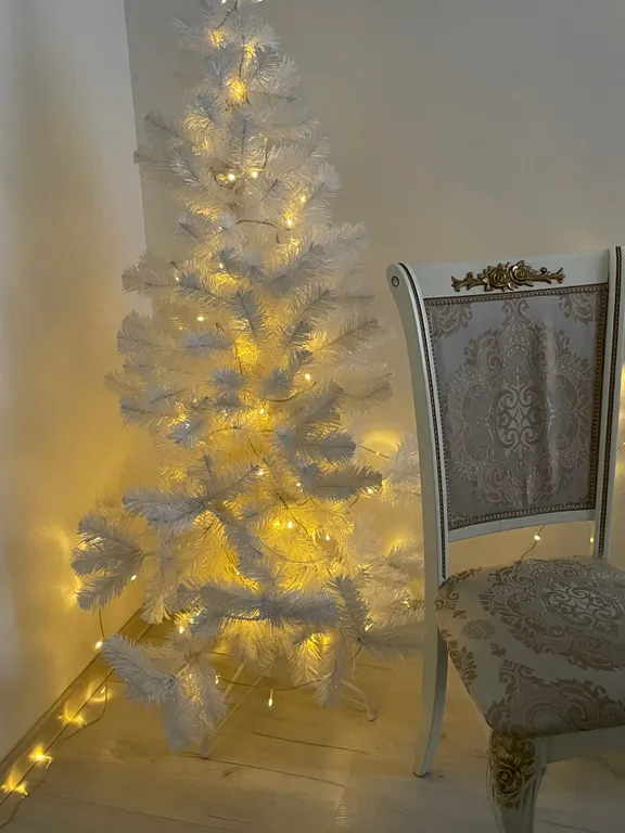 Центр Вид- река,  кораблики Версаль