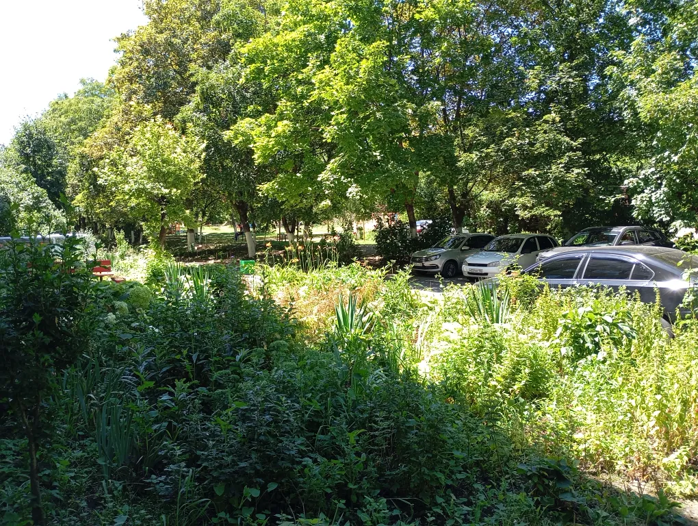 Большая квартира на 1 этаже в центре города