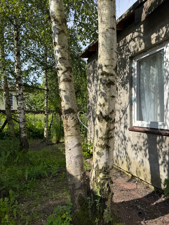 Коттедж Часть дома с отдельным входом у озер и леса, качели и мангал во дворе — Санкт-Петербург