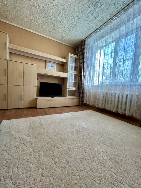 Уютный апартамент