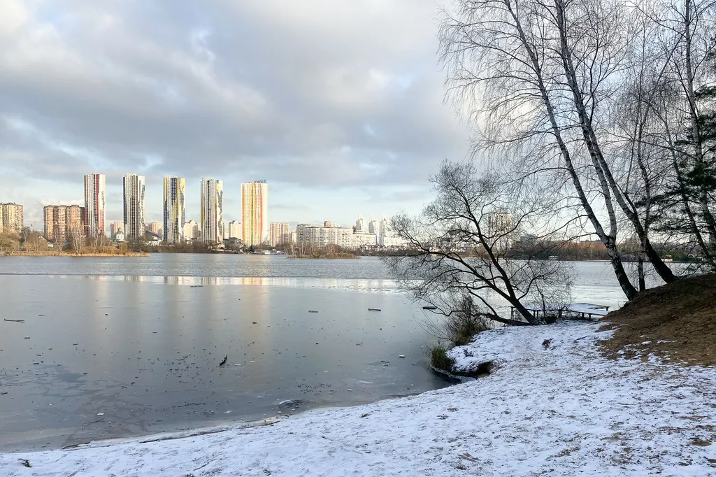 Квартира Уютная красивая квартира на берегу Москва-реки в сосновом бору — Москва
