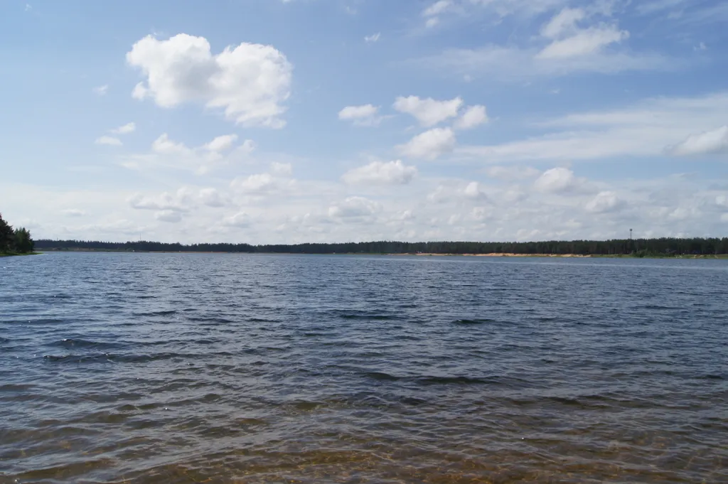 Дом в сосновом бору на озере